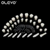 Dental Typodont Teeth Model Removable Individual Screw-in Resin Denture Practice Tooth for Nissin Dentist Teaching Accessories 6