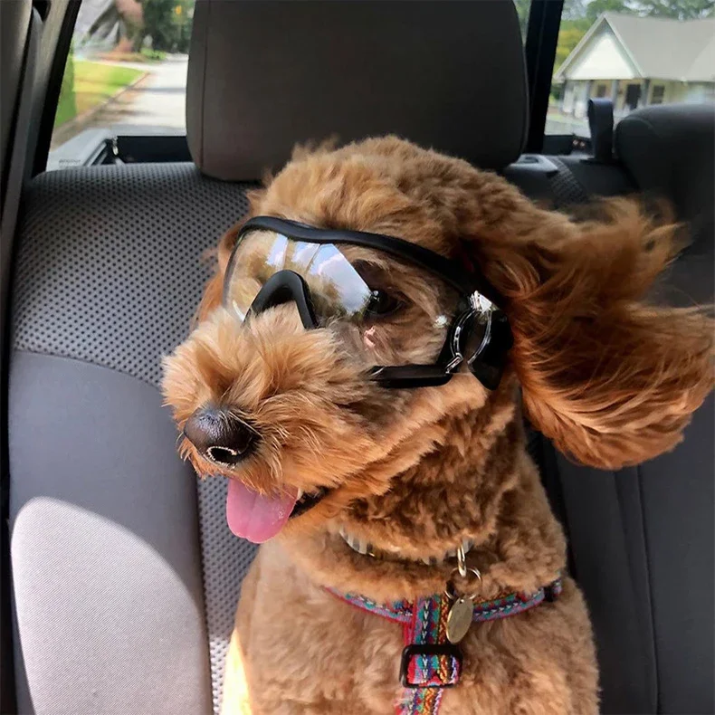 

Pet dog goggles windproof mirror transparent sunglasses sunglasses golden retriever Ke Jiquan.
