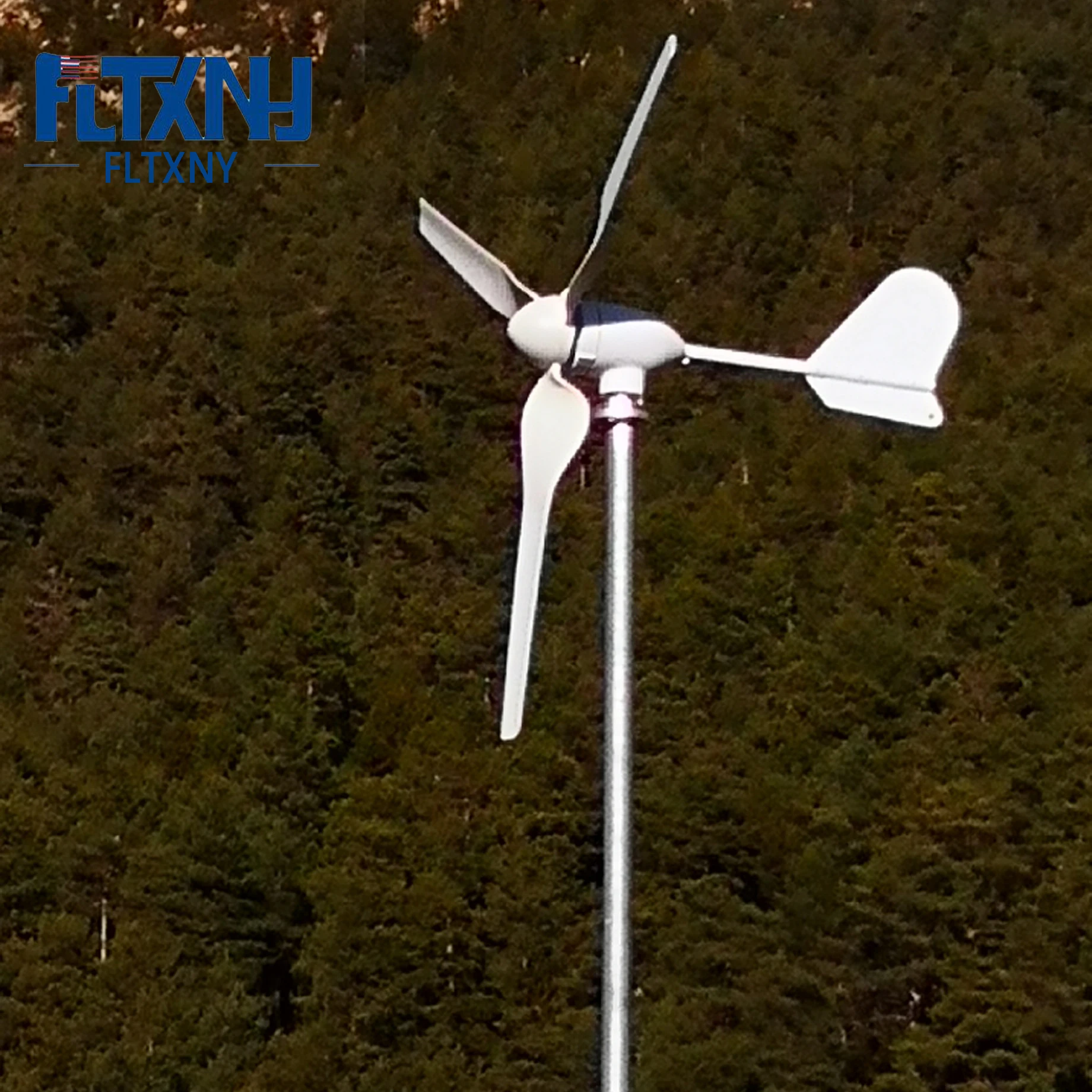 

Small Home Wind Turbine Generator 1000W 12V 24V 48V Wind Generators With High Controller For Farm