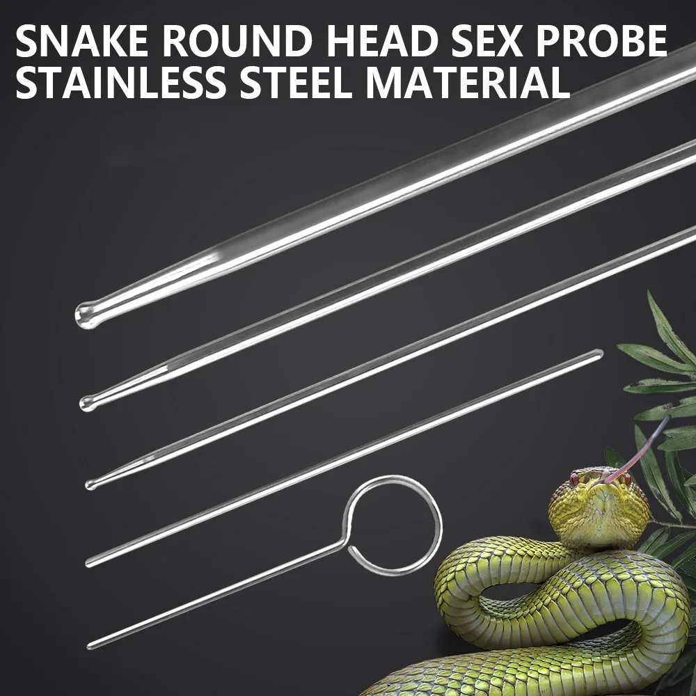 Snake Probe Set Stainless Steel Gender Detector for Snakes 6pcs/set Reptile Gender Monitor Reptile Supplies