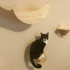 Wall cat climbing frame moon shape cat hammock wall tassel cat bed pedal cat climbing rest new favorite 6