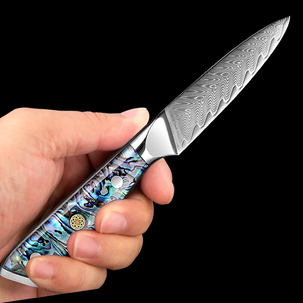 

KKWOLF Damascus VG10 Japanese Super Steel Paring Knife 3.5 Inch Kitchen Vegetable Knife, Fruit Knife Razor Sharp Cooking Knife