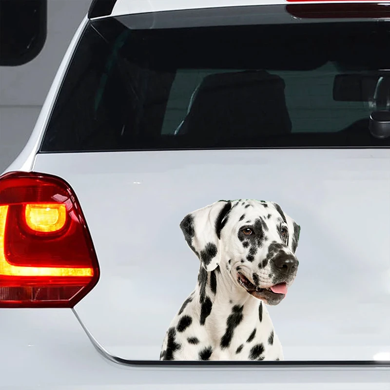 

Car Sticker Dalmatian Dog Pet Animal Waterproof Vinyl Decal Car Accessories Decor Pegatinas Para Coche #V1362
