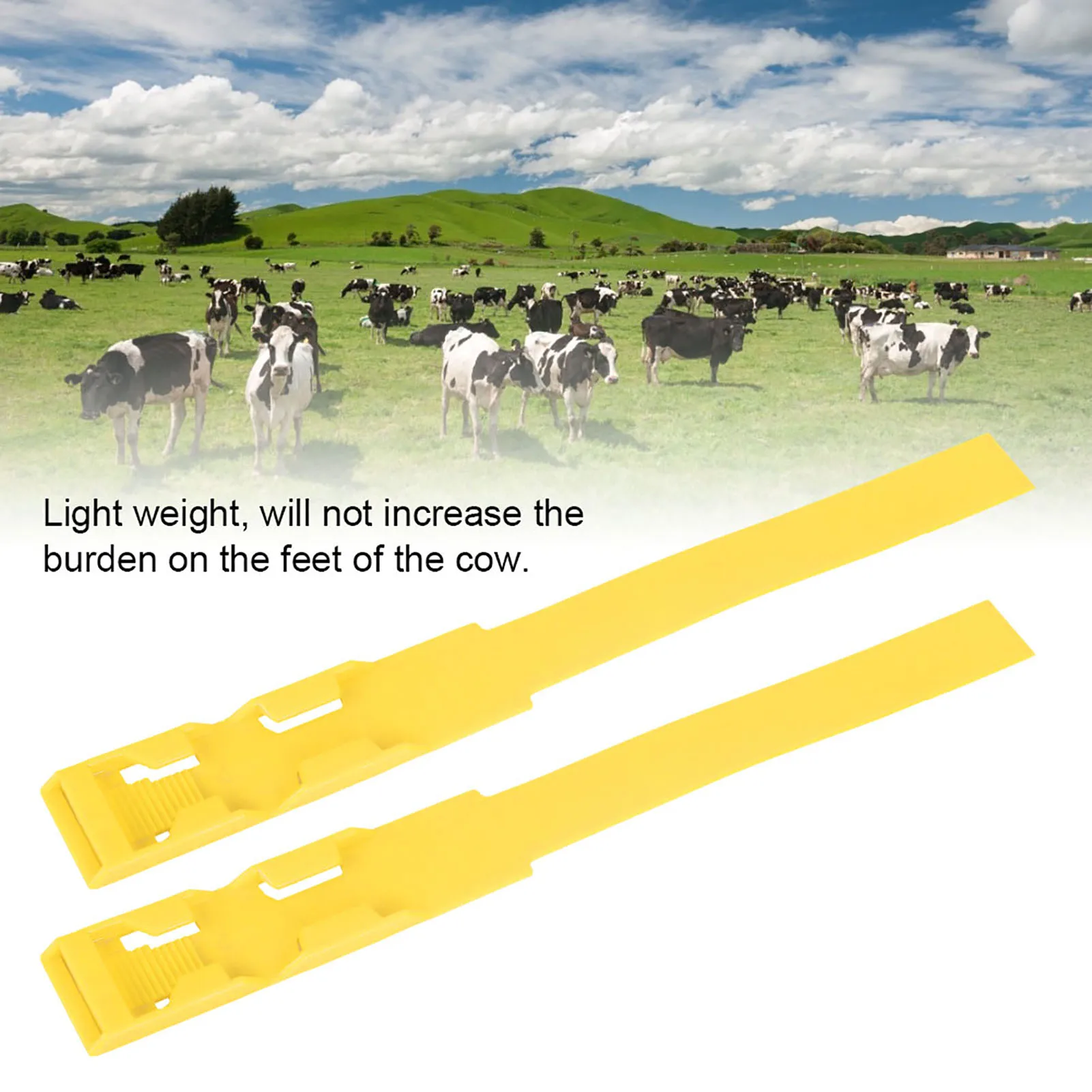 10pcs Cow Identification Bands ID Collars Bands Cow Cattle Foot Marking Supplies for Farm Livestock