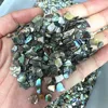 New Arrivals Polished New Zealand Paua Crystals Gravels Healing Stones Bulk Natural Abalone Shell Crystal Chips For Decor 1