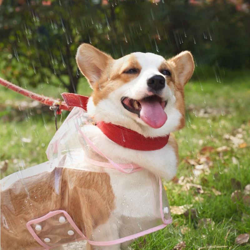 Chubasquero para perro, Ropa impermeable para gatos, Poncho transparente para Perros pequeños y medianos