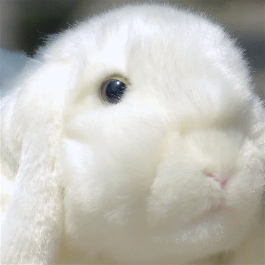 Lop Ear Rabbit High Fidelity Anime Cute White Brown Bunny Plush Toys Lifelike Animals Simulation Stuffed Doll Toy Gifts For Kids 4