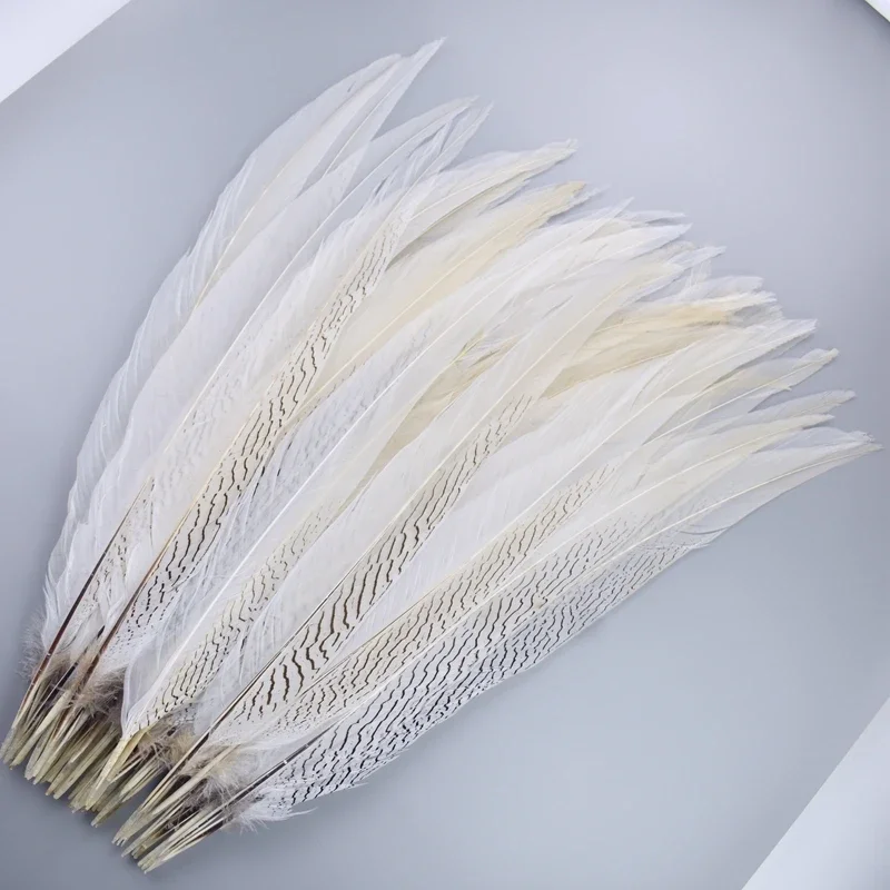 Silver Pheasant Tail Feathers - Natural - 8 - 12