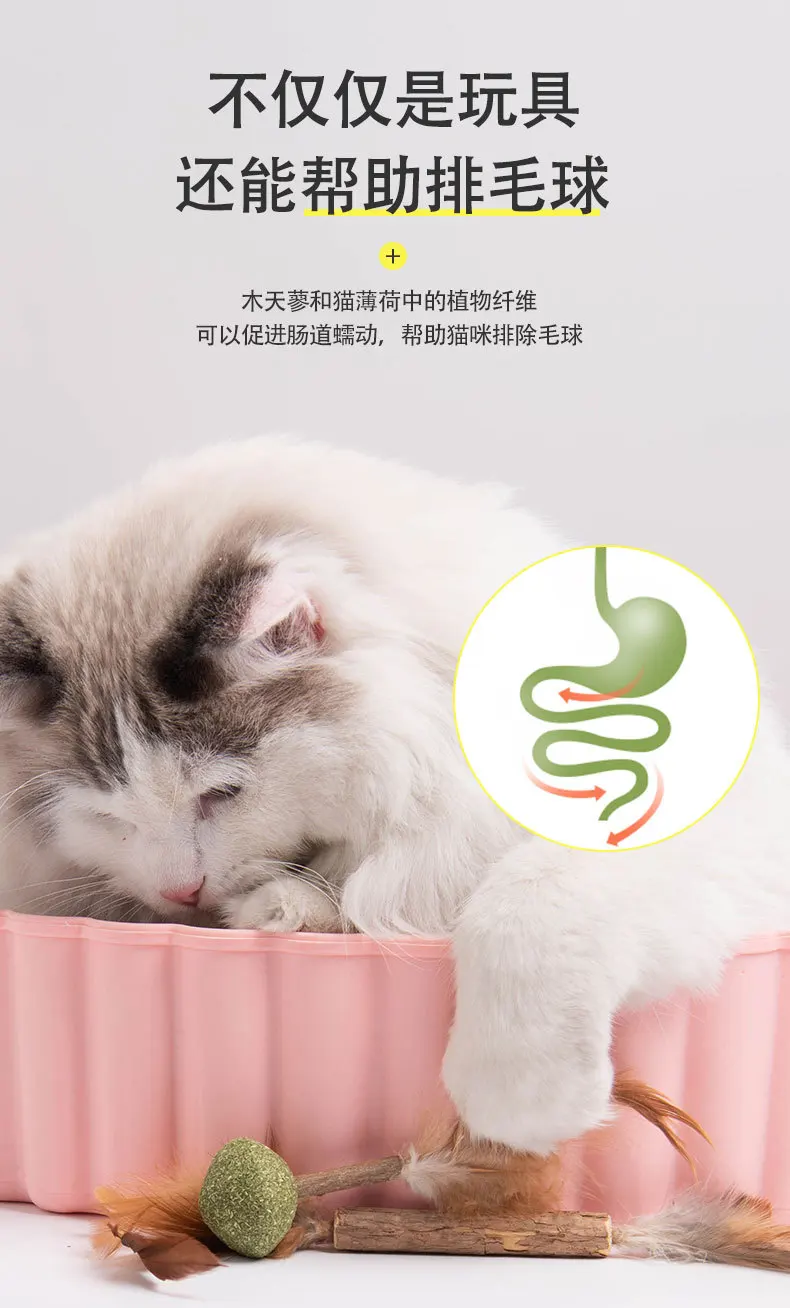 S5e326936fb9e4c9f9956dd058d9955b2w Cat Toys Cartoons Mouse Fish Edible Safety Catnip Funny Cat Stick Molar Teeth Clean Teeth Game Pet Toy Pet Product Gift