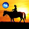 4pcs Equestrian Supply LED Luminous Horse Leg Straps Horse Riding Safety Warning Belts Night Visible Horses Legging Decoration 1