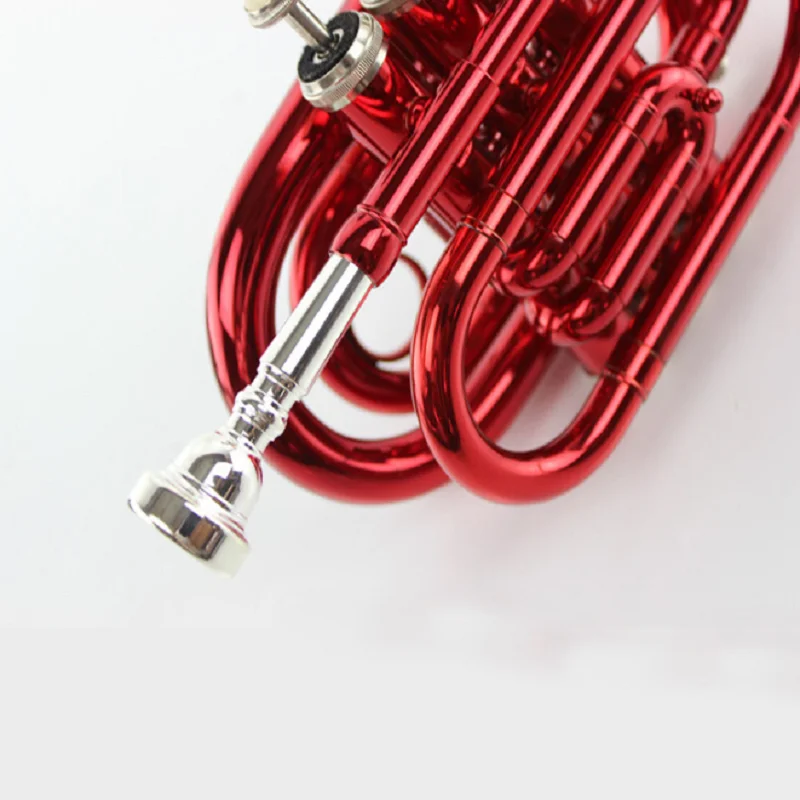 Learn Western Wind Instrument, B Flat Pocket, Red Palm Instrument