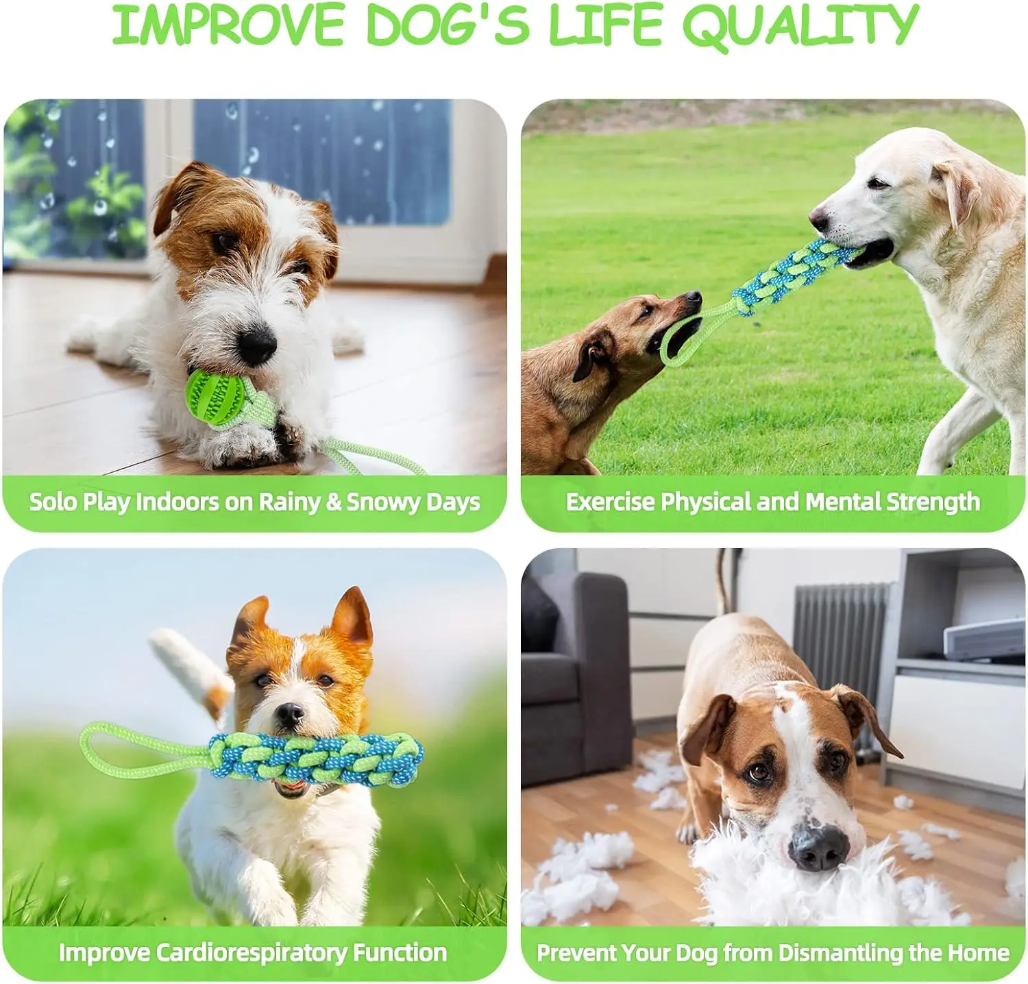 Spring Pole Dog Rope Toys: The Ultimate Indoor Tether Solution for Active  Dogs?