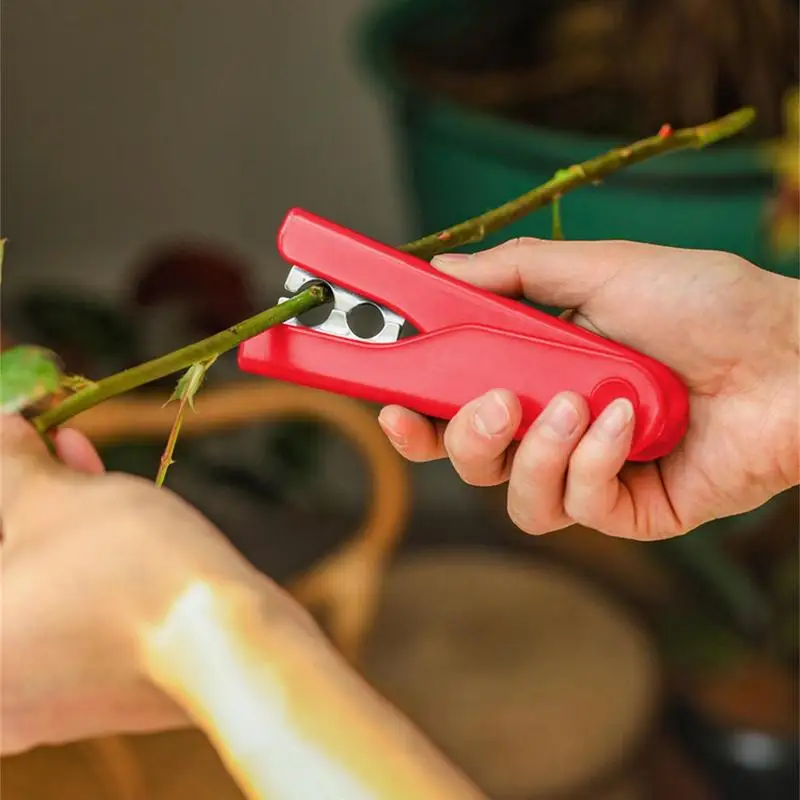 M89B Pink/Green/Red Professional Rose Leaf Thorn Stripper Stripping Tool Thorn  Remover for Roses Stainless Steel Rose Plier - AliExpress