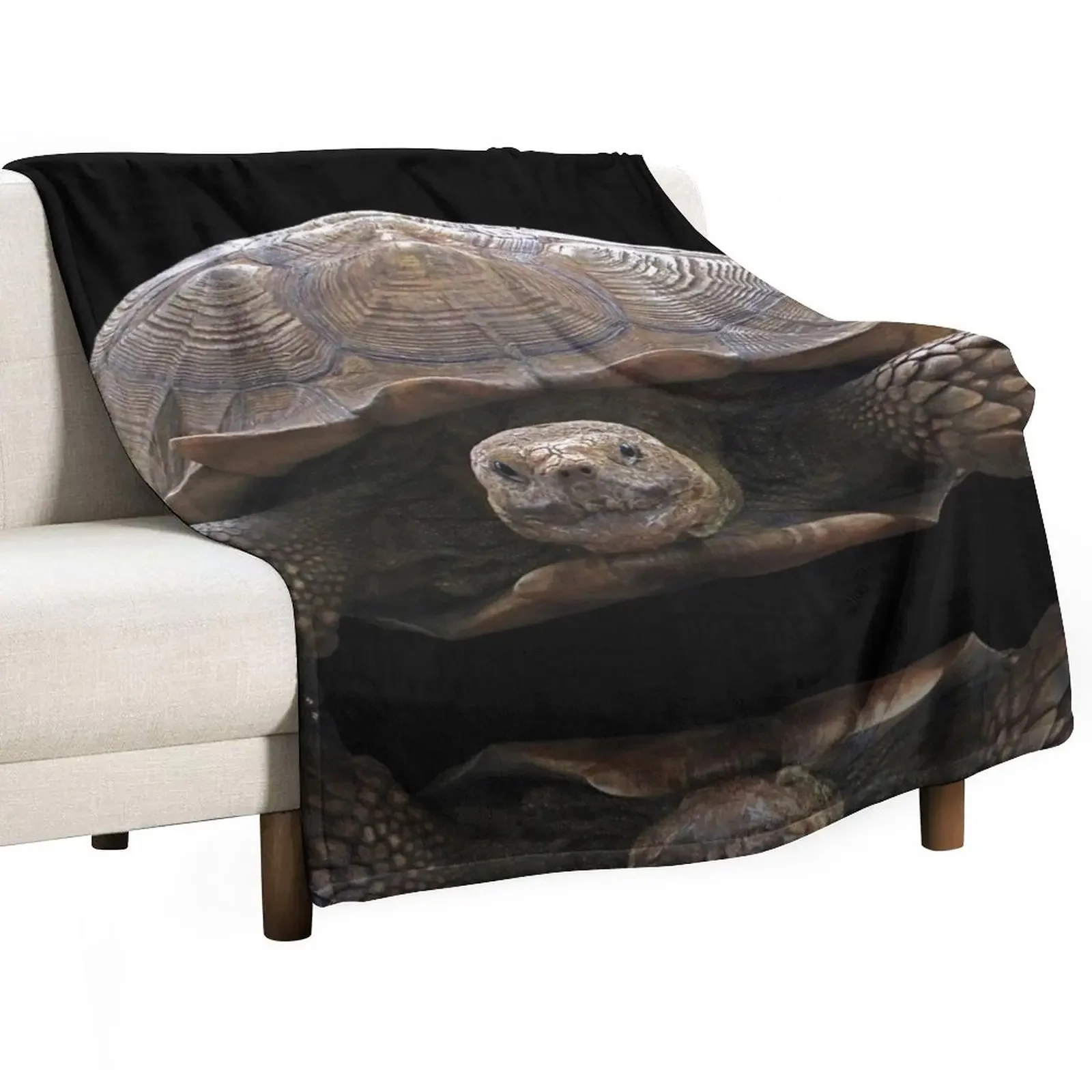 

Sulcata Tortoise with Reflection Throw Blanket Decorative Throw Hair Weighted Blankets