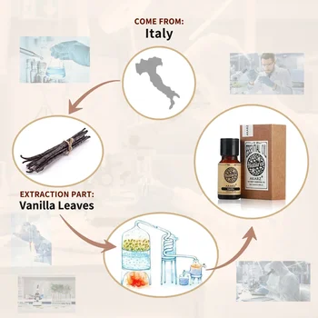 AKARZ Vanilla Essential Oil Natural Aromatherapy for Skin Body Hair Care, Candle,Soap,Making, DIY,Massage Aroma 10ml Vanilla Oil 2