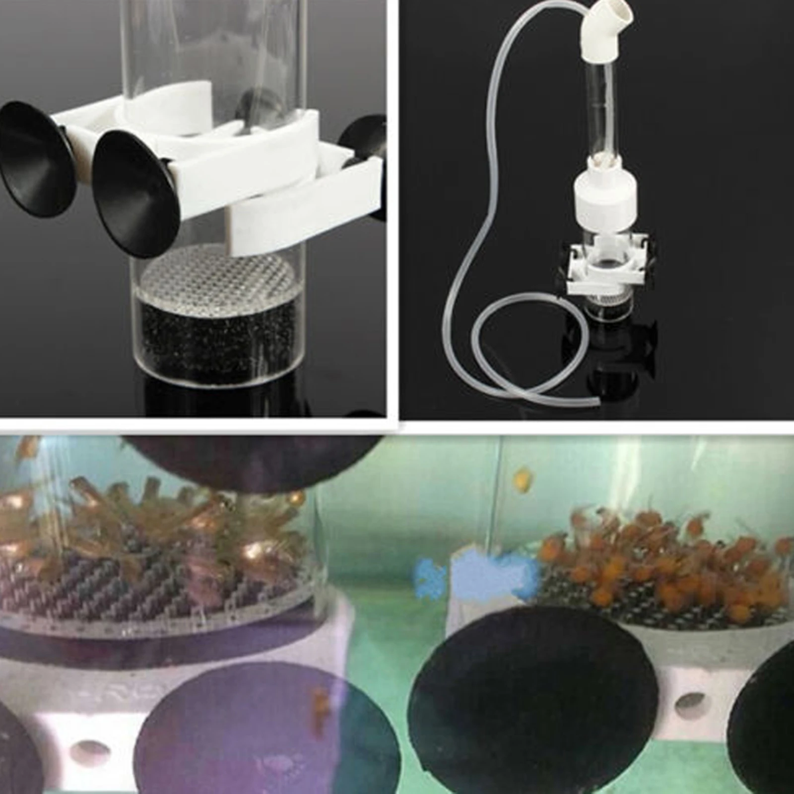 Acrylic Aquarium Egg Incubator 50mm Mouth Ornamental Fish Eggs Hatching Equipment