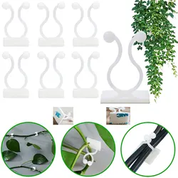 10-30PCS Plant Climbing Wall Fixture Clips Self-Adhesive Vines Holder Fixture Garden Plant  Wall Vines Fixture Wall Sticky Hook
