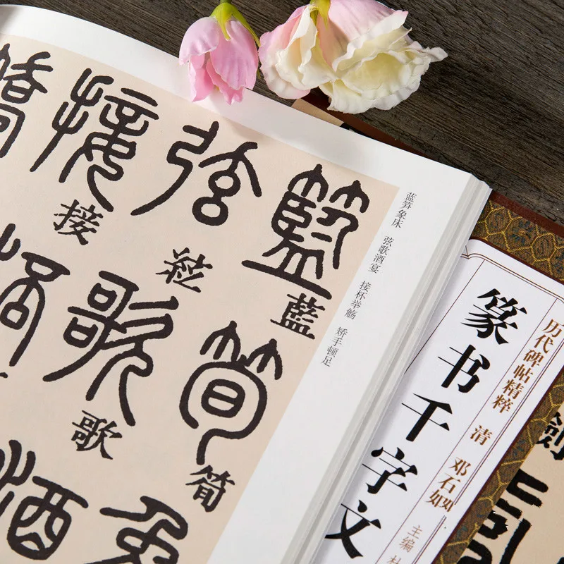 Mastering Seal Script: Chinese Calligraphy Copybook by Deng Shiru
