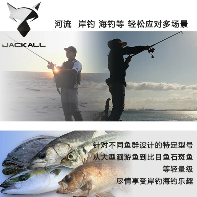 New JACKALL Summer Japan BRS Sea Fishing Rod Pitch Long-range Throwing Rod  Universal Double-section Rod BayuShore Throwing - AliExpress