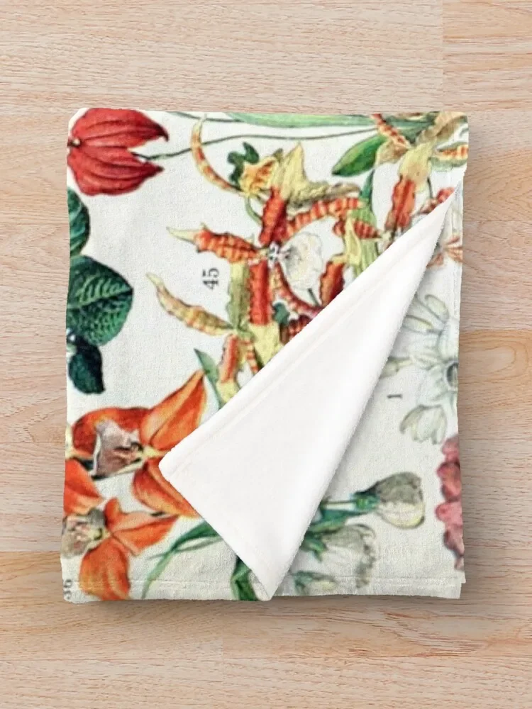 Adolphe Millot - Fleurs D-������ ��Ƽ�� ������ ������ ���, �ٸ��� ���� ���, ���� ���� ���