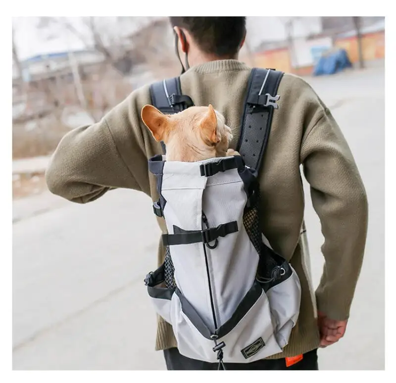 Sac à dos de voyage chic pour chien : tous les tailles