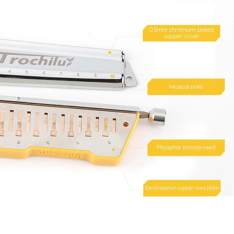 Chromatic Harmonica JDR Chromatic Trochilus Harmonica 10 Holes Key of C