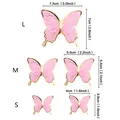 Pink Swallowtail