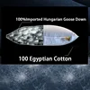 pure down Goose Down Sleeping Pillow Soft Bed Pillow for Sleeping with 100% Cotton Shell Set of 1 Standard Size 3