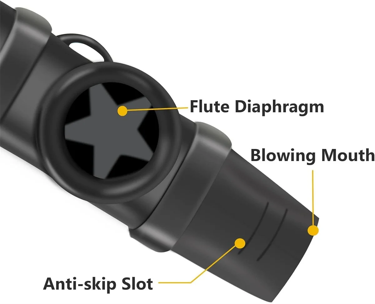 S5e445465a90945139af84cd13c571439C