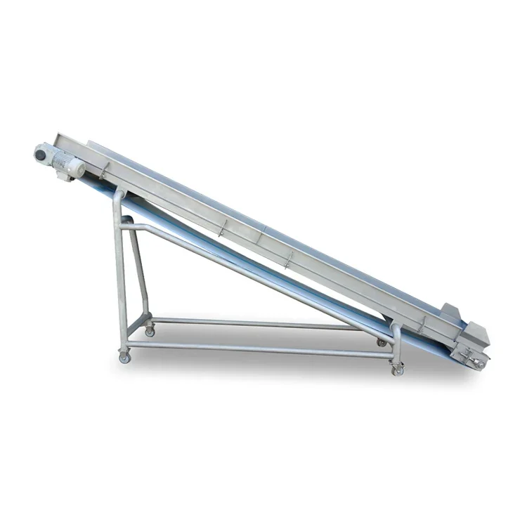Vegetable Fruit Bubble Washer Vegetable Cleaning Machine Sorting Drying Frozer Processing Production Line 3