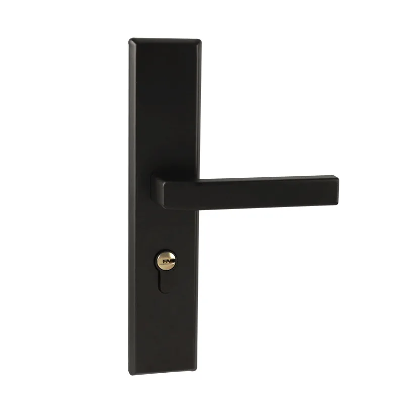 

Door Handle Interior Home Swing Gates Sliding Smart Wooden with Lock Keys Exterior Knob Outdoor Passage Bedroom Entrance House