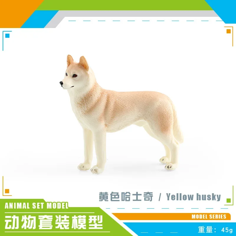 Husky1