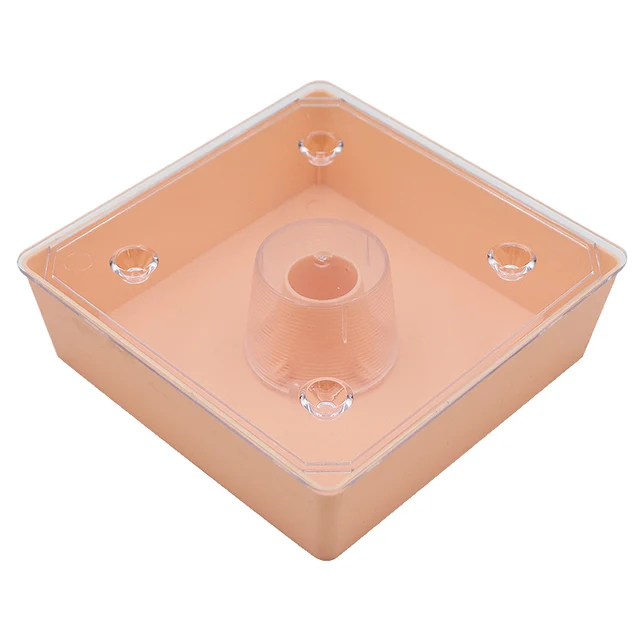 LATRAT 2 Pezzi Abbeveratoio Per Api - Plastica Per Apicoltori | Acqua E Sciroppo Per Alveare - Foto 13