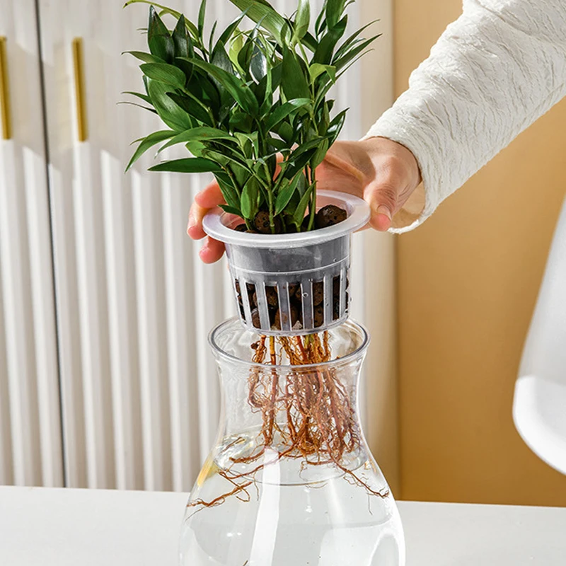 Mini Hydroponic Self-Watering Planter 5