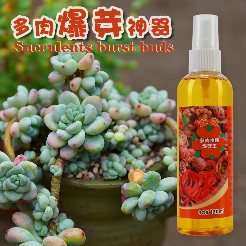 다육 식물 뿌리 뽑기, 파열 봉오리, 색상 향상, 영양 용액 쪼개기 및 뿌리 뽑기, 120ml 다육 식물 뿌리 뽑기, 파열 봉오리, 색상 향상, 영양 용액 쪼개기 및 뿌리 뽑기, 120ml