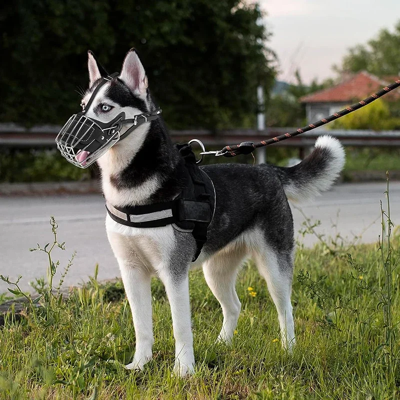 Dog Mouth Leather Protection Cover Adjustable & Breathable pet Metal Muzzle Anti-Bite Humane Basket Muzzle Dog Accessories dog muzzle