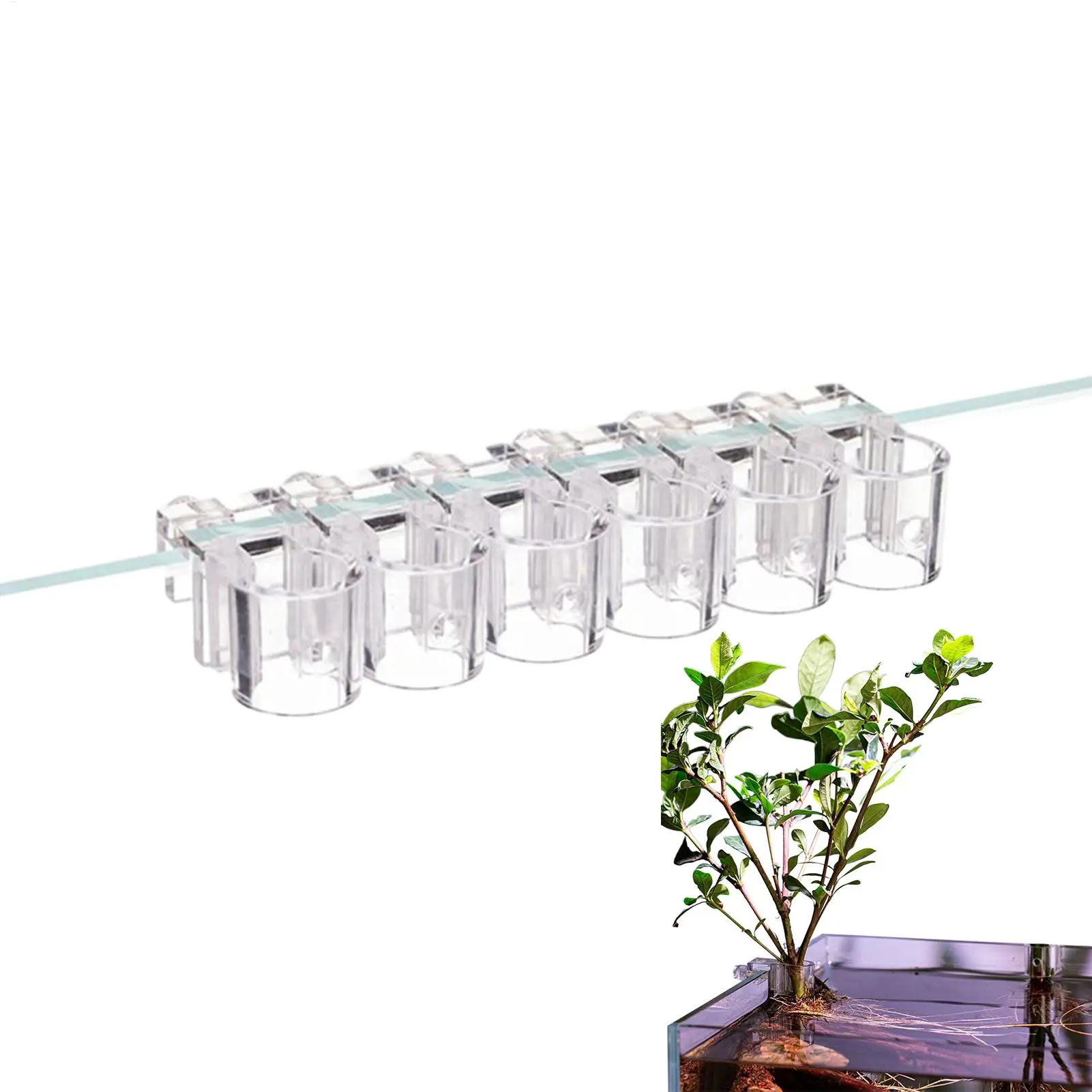 Suporte para Plantas de Aquário, 6 Peças, Suporte Hidropônico Transparente, Copo para Plantas Penduráveis para Aquário, Cultivo em Casa