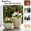 4PCS Terracotta Self Watering Spikes For Home Garden Automatic Watering Device Vacation Stakes Drip Irrigation Tool 5