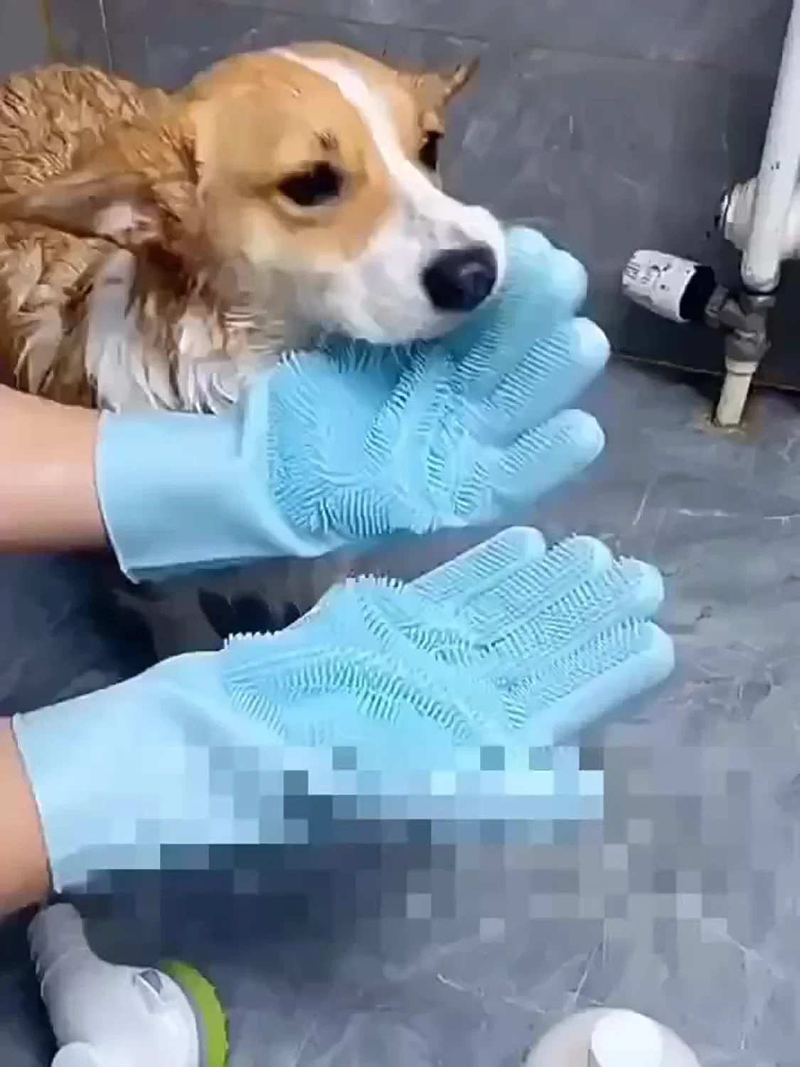Eco Silicone Pet Grooming Gloves