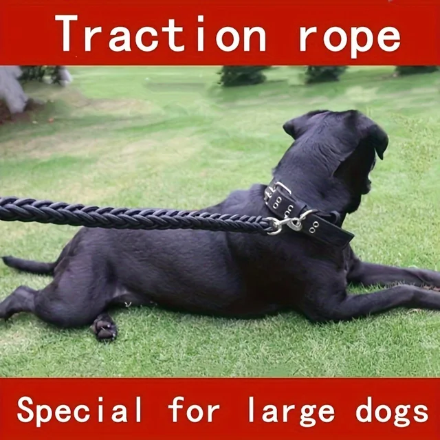 Comfort-Strong 5-Foot Braided Dog Leash: Ideal for Effective Training & Enjoyable Walks. Durability Meets Comfort Comfort-Strong 5-Foot Braided Dog Leash: Ideal for Effective Training & Enjoyable Walks. Durability Meets Comfort