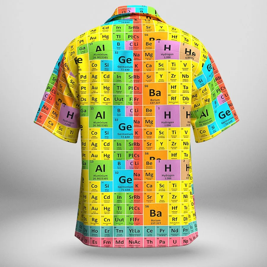 Рисунок 2 - Мужская летняя рубашка с коротким