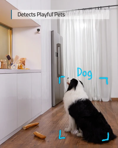 Eufy 보안 솔로 실내 IP 카메라 C24, 와이파이 2K 양방향 오디오 카메라, 인간 애완 동물 AI 작동 음성 어시스턴트, 야간 투시 캠 3