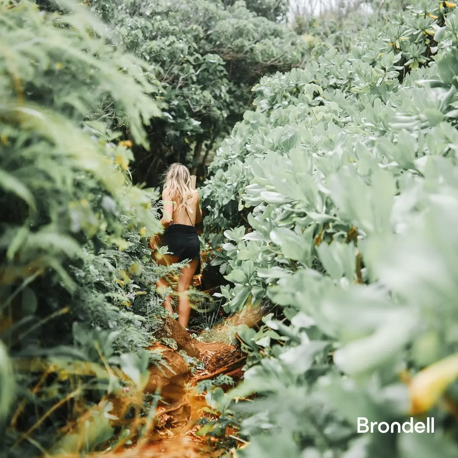 Description Picture 6 of itemBidet Toilet Seat, Non-Electric Swash Ecoseat, Fits Elongated Toilets, White - Dual Temperature, Dual Nozzle System