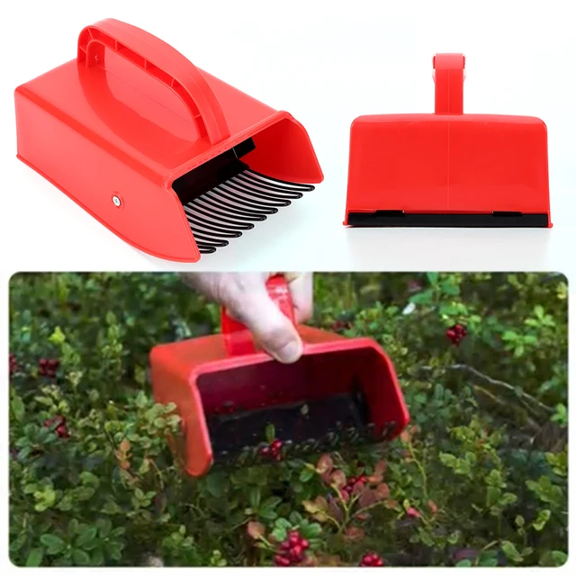 Labor Saving Berry Harvester: Scoop Blueberry & Huckleberry Picker with Metal/Plastic Comb, Garden Berry Picking Rakes 4