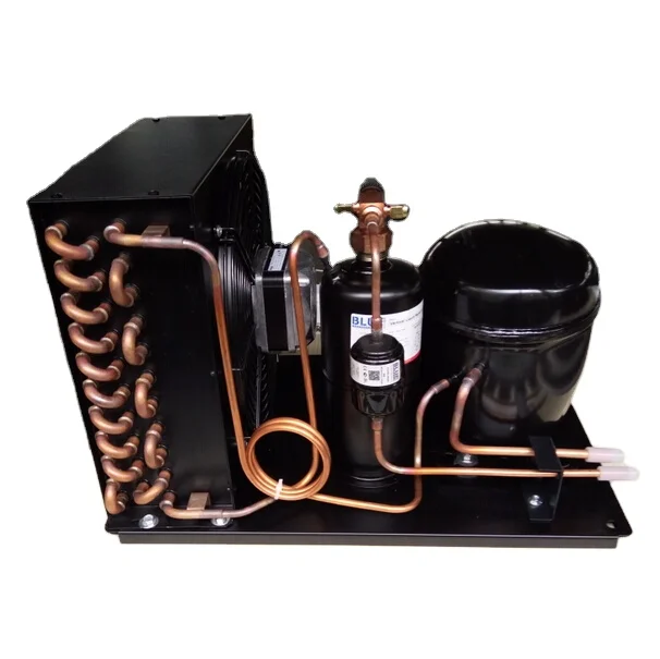 

115V/60HZ Embraco R290 R404 LBP DFE90DLR134a 110v 1/3hp LBP compressor small refrigeration condensing unit