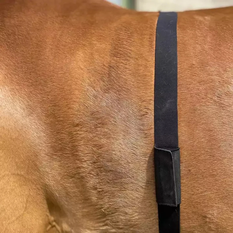 FITCENT Horse Heart Rate Monitor Tracker Monitoring Heart Rate Horse Band Belt for Equestrian 6