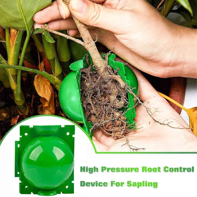 10-100PCS Plant Rooting Ball Grafting Rooting Box Breeding Case High Pressure Plant Root Growing Box For Garden Planting Supply 4