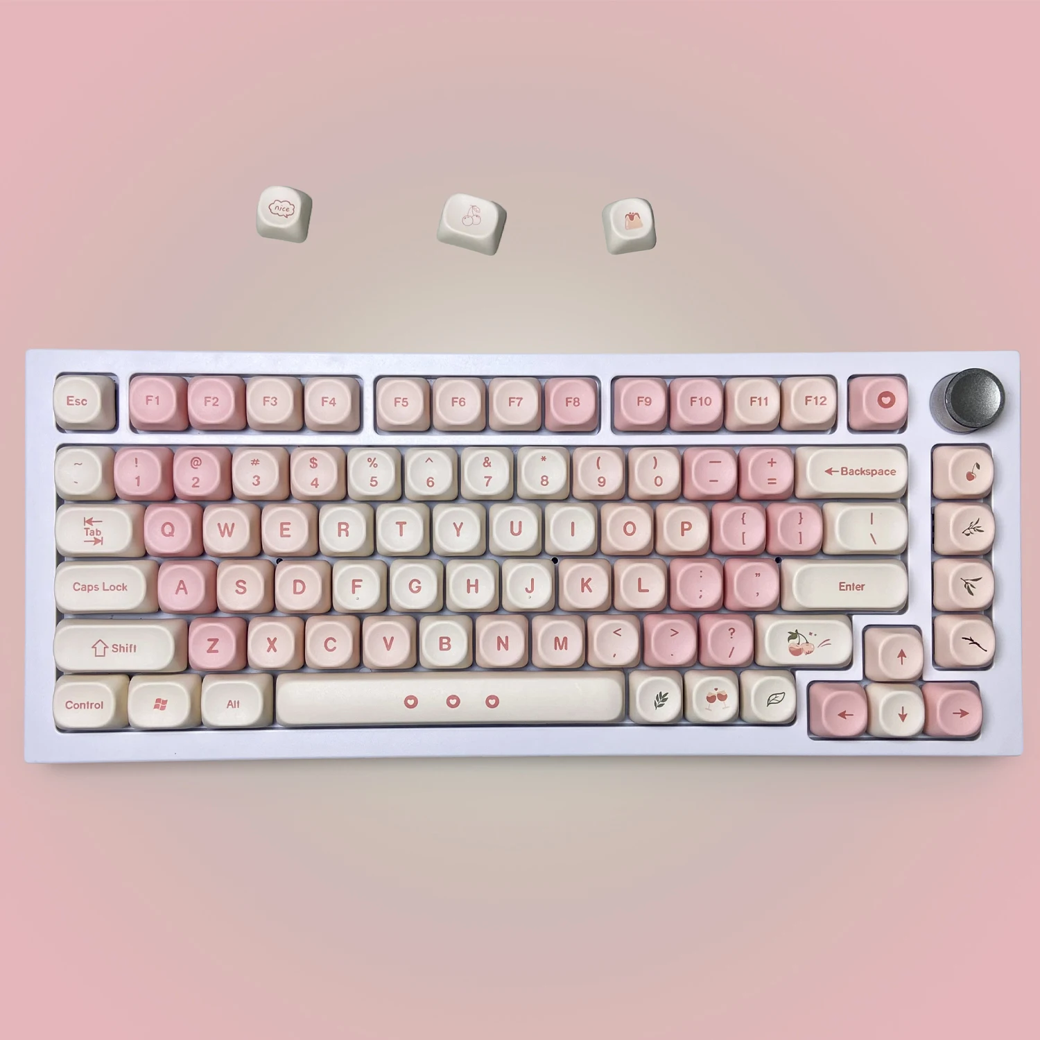 dsc-products