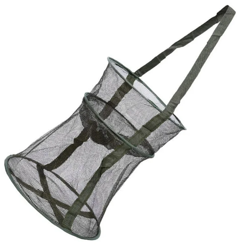 Filet de pêche escamotable pour carpes et anguilles - Équipement parfait pour passionnés de pêche extérieure