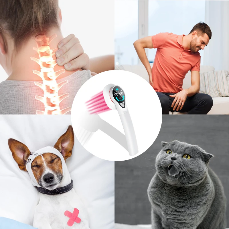 

Физическая лазерная терапия, искусственная физиотерапия, ручное лечение, облегчение боли, 4x808 нм, 13x650 нм, мощное облегчение боли